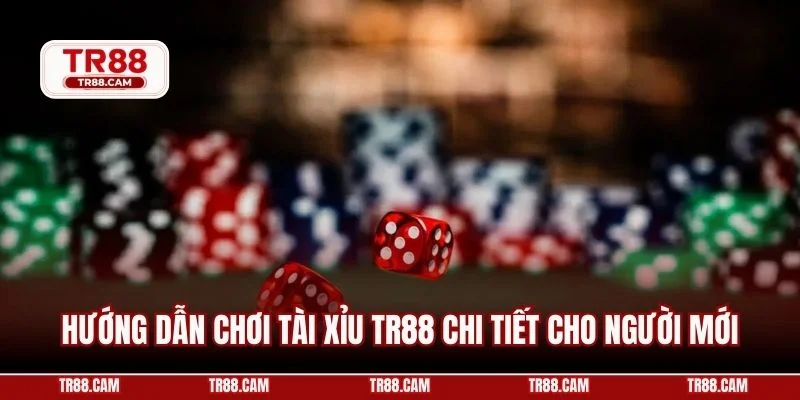 Hướng dẫn chơi tài xỉu tr88 chi tiết cho người mới